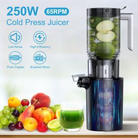 Cold Press Juicer Machine With 3.93In Feed Chute Fit Whole Fruits Vegetable 250W Slow Masticating Juicer With Reverse Function 2 Containers Easy